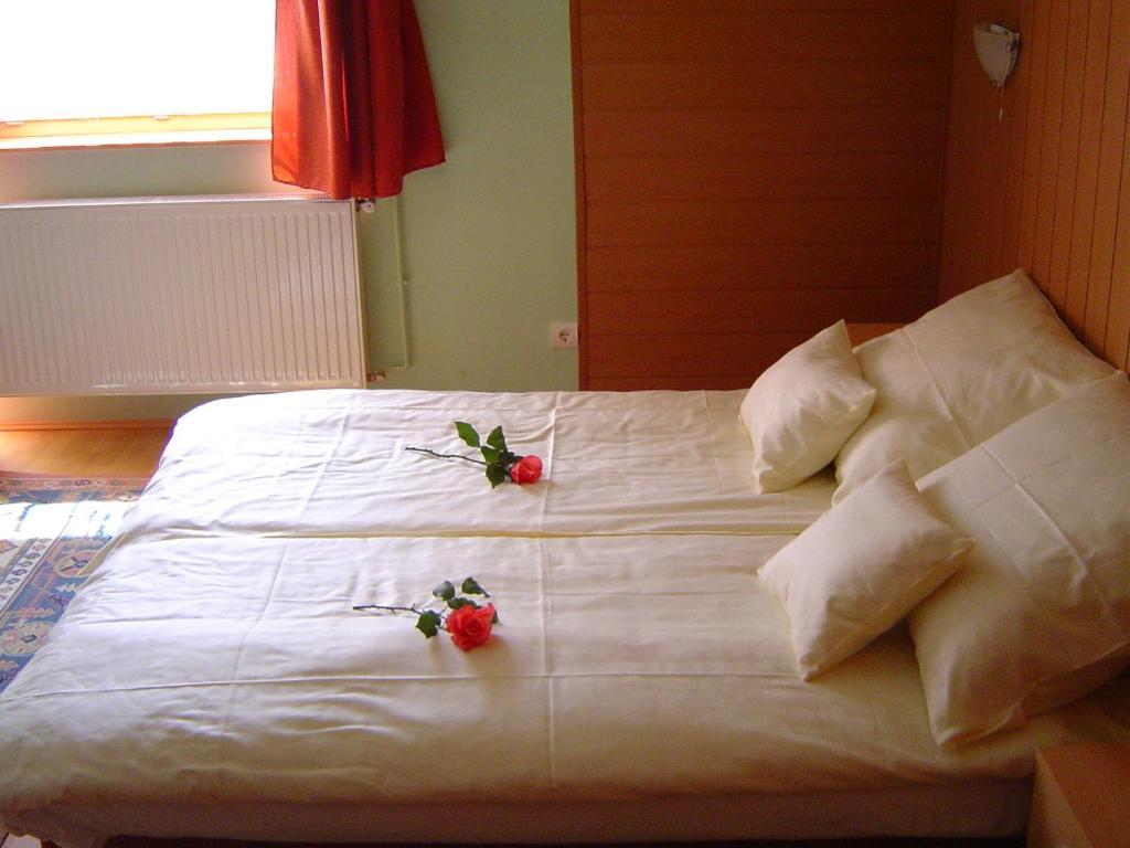 Lunczer Vendeghaz Otel Mosonmagyaróvár Oda fotoğraf