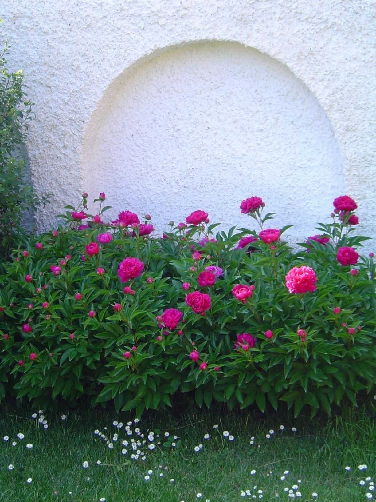 Lunczer Vendeghaz Otel Mosonmagyaróvár Dış mekan fotoğraf